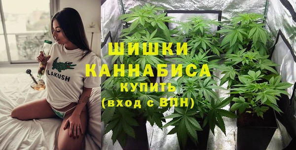 ПСИЛОЦИБИНОВЫЕ ГРИБЫ Верхнеуральск